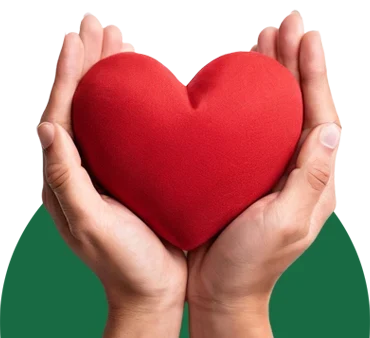 donazione Croce Verde Arma Taggia